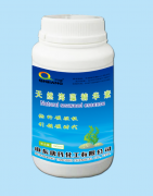 天然海藻精华液