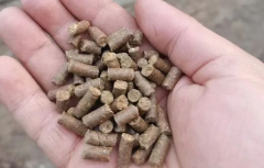 生物有机肥怎么用，才能达到更好的效果？